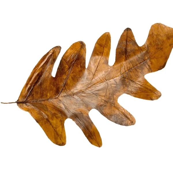 Herbstdeko | Blätter^DecoWoerner Herbstliche Kunstblätter 80 Cm, 3 Stück orange
