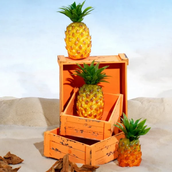 Pflanzengefäße & Dekorationshilfen^DecoWoerner Holzkisten-Satz, orange