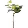 Themen-Deko | Herbstdeko^DecoWoerner Hopfen-Kunstzweige, Pack à 3 Stück grün