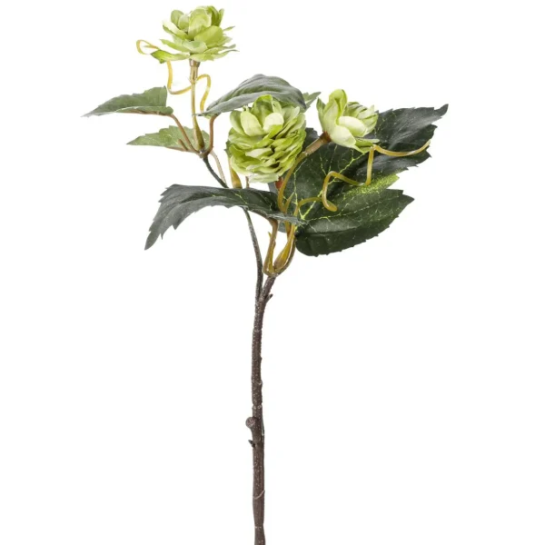 Themen-Deko | Herbstdeko^DecoWoerner Hopfen-Kunstzweige, Pack à 3 Stück grün