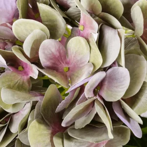 Kunstblumen^DecoWoerner Hortensien-Kunstblumenstrauß Lila, 60 Cm violett