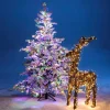 Weihnachtsbeleuchtung^DecoWoerner 3in1 Lichterkette: Bunt, Warm Gelb Oder Im Wechsel Blinkende LED Lichterkette Mit Timer, Für Außen, 16 M mehrfarbig
