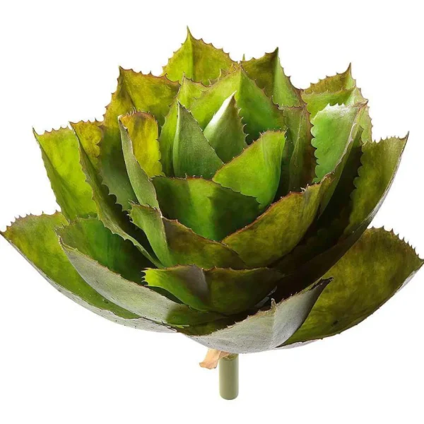Zimmerpflanzen^DecoWoerner Künstliche Agave Parryi Ohne Topf, 38 Cm Ø grün