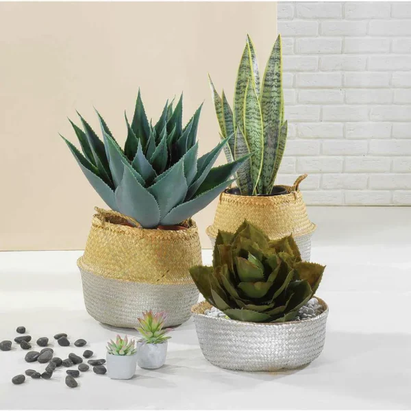 Zimmerpflanzen^DecoWoerner Künstliche Agave Parryi Ohne Topf, 38 Cm Ø grün