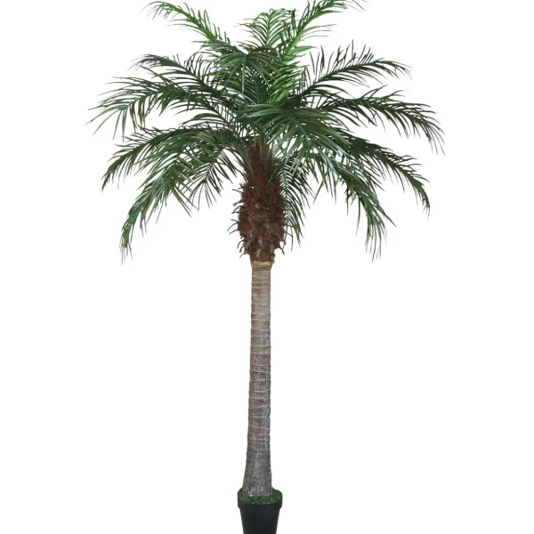 Sommerdeko | Kunstbäume^DecoWoerner Künstliche Areca Palme 180 Cm grün