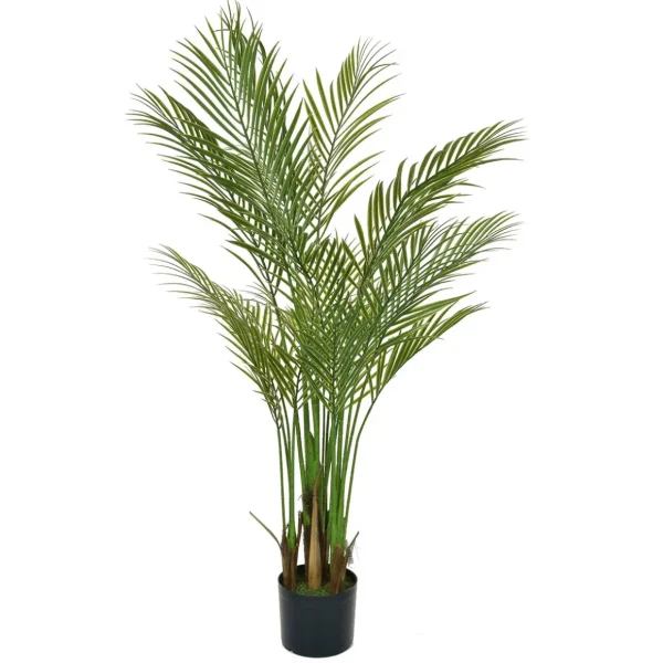 Kunstbäume | Schwer Entflammbare Kunstpflanzen^DecoWoerner Künstliche Areca Palmen Im Topf B1, 150 Cm grün