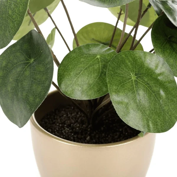 Zimmerpflanzen^DecoWoerner Künstliche Deko Pilea Im Topf Pfannkuchenpflanze 25 Cm grün