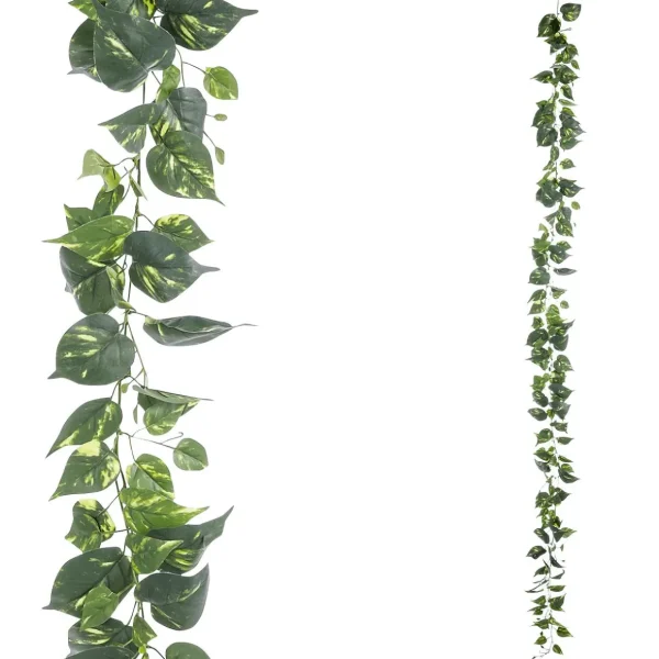Girlanden & Ranken^DecoWoerner Künstliche Deko Pothos Girlande 220 Cm grün