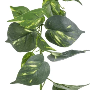 Girlanden & Ranken^DecoWoerner Künstliche Deko Pothos Girlande 220 Cm grün