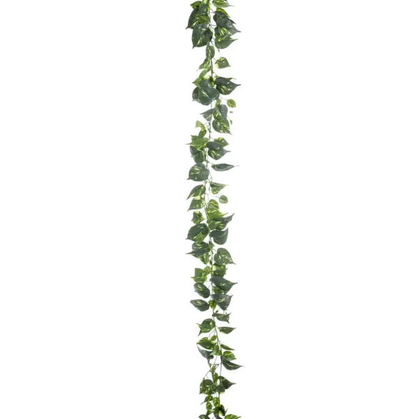 Girlanden & Ranken^DecoWoerner Künstliche Deko Pothos Girlande 220 Cm grün