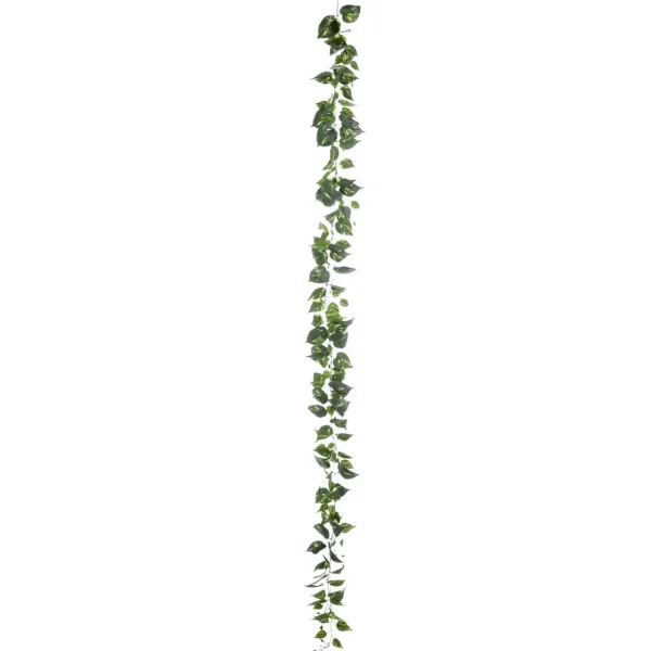 Girlanden & Ranken^DecoWoerner Künstliche Deko Pothos Girlande 220 Cm grün