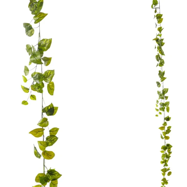 Girlanden & Ranken^DecoWoerner Künstliche Efeu-Pothos-Girlande 170 Cm grün