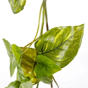 Girlanden & Ranken^DecoWoerner Künstliche Efeu-Pothos-Girlande 170 Cm grün