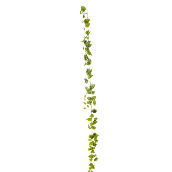 Girlanden & Ranken^DecoWoerner Künstliche Efeu-Pothos-Girlande 170 Cm grün
