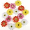 Streudeko | Frühlingsdeko^DecoWoerner Künstliche Gerbera Streublütenmix 36 Stück mehrfarbig