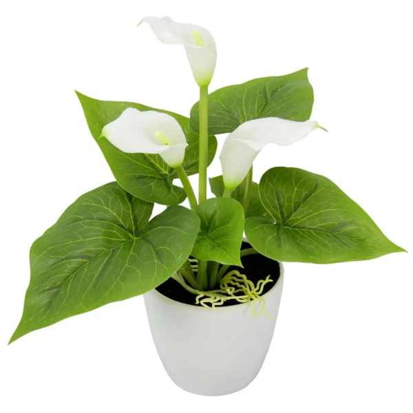 Zimmerpflanzen^DecoWoerner Künstliche Mini Calla-Pflanze Im Topf 20 Cm weiß
