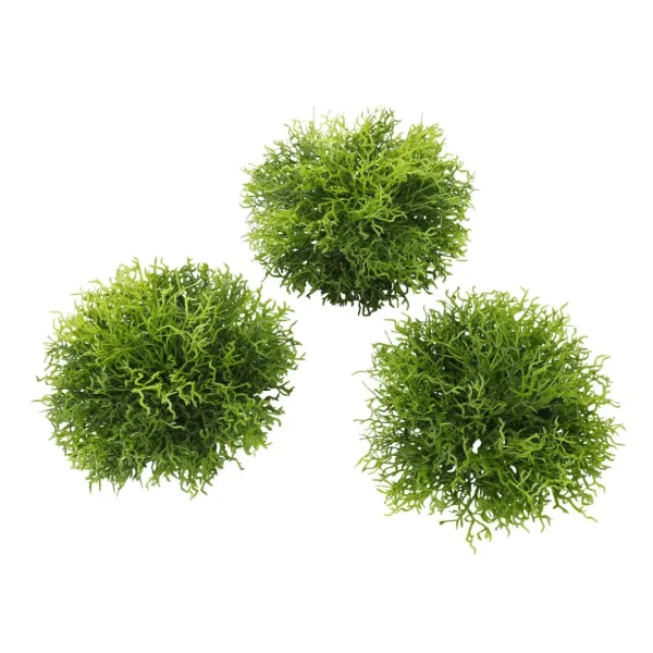Grünpflanzen^DecoWoerner Künstliche Mooshalbkugeln Pack à 3 Stück grün