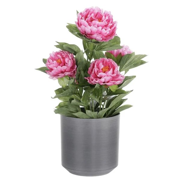 Frühlingsdeko | Zimmerpflanzen^DecoWoerner Künstliche Pfingstrose Im Topf rosa