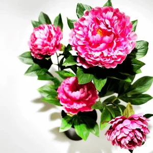 Frühlingsdeko | Zimmerpflanzen^DecoWoerner Künstliche Pfingstrose Im Topf rosa