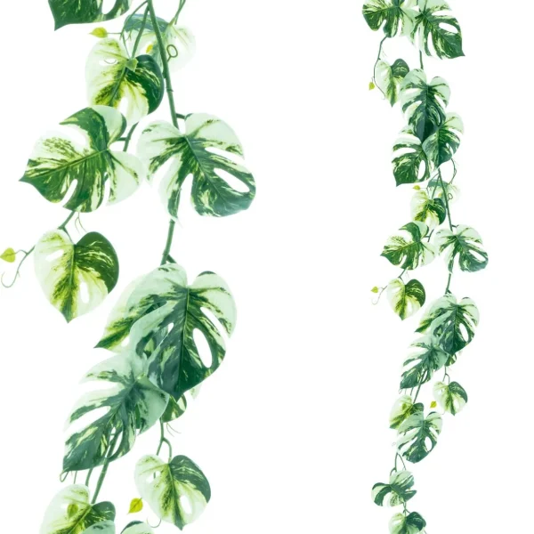 Sommerdeko | Girlanden & Ranken^DecoWoerner Künstliche Philoranke Variegata Monstera-Girlande 180 Cm grün