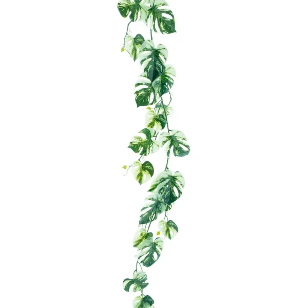 Sommerdeko | Girlanden & Ranken^DecoWoerner Künstliche Philoranke Variegata Monstera-Girlande 180 Cm grün