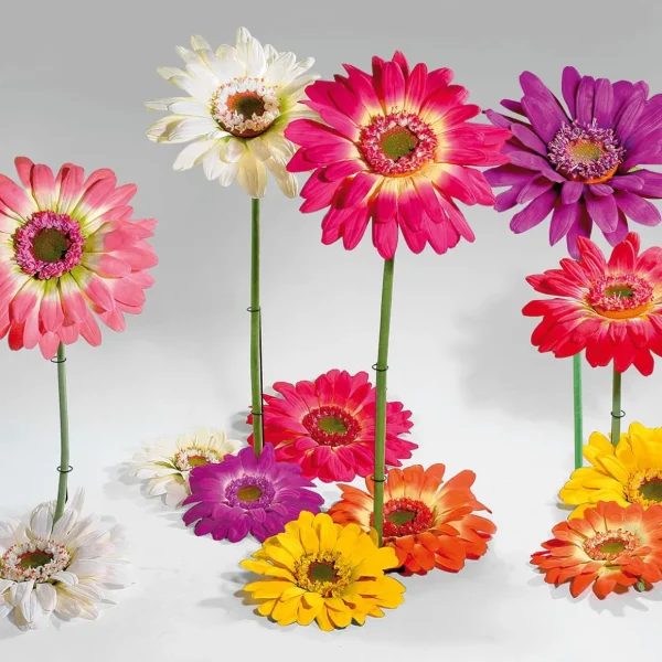 Frühlingsdeko | Kunstblumen^DecoWoerner Künstliche Riesen-Gerbera , 120 Cm rosa