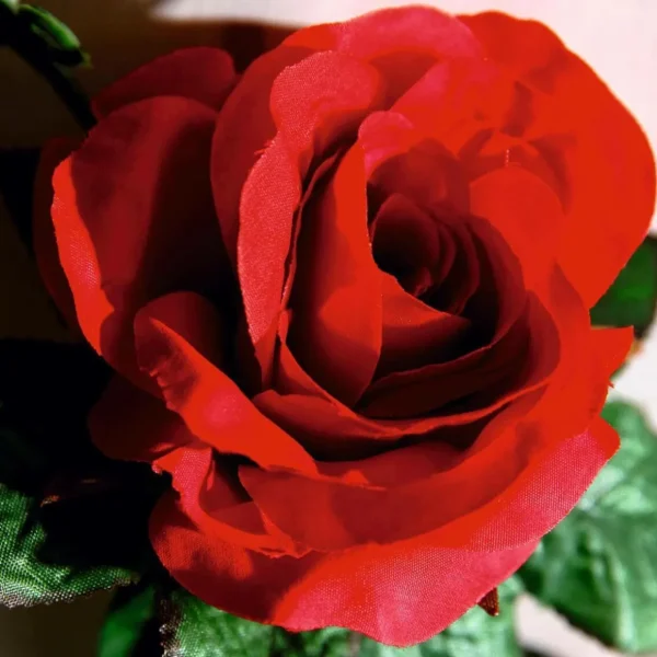Girlanden & Ranken | Kunstblumen^DecoWoerner Künstliche Rosen-Girlande ,180 Cm rot