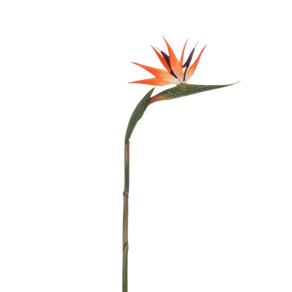 Zimmerpflanzen | Kunstblumen^DecoWoerner Künstliche Strelitzien Paradiesvogel-Blume, 84 Cm orange