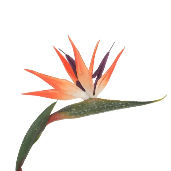 Zimmerpflanzen | Kunstblumen^DecoWoerner Künstliche Strelitzien Paradiesvogel-Blume, 84 Cm orange