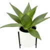 Zimmerpflanzen^DecoWoerner Künstliche Succulente Im Weißen Topf 27 Cm grün