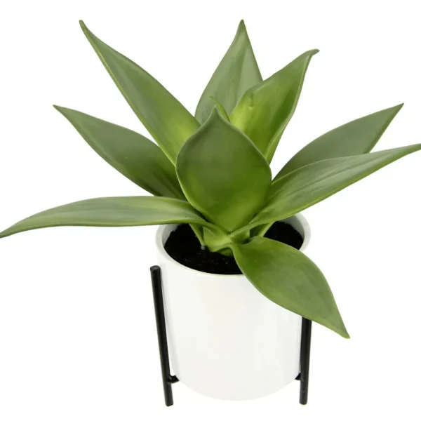 Zimmerpflanzen^DecoWoerner Künstliche Succulente Im Weißen Topf 27 Cm grün