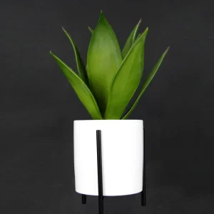 Zimmerpflanzen^DecoWoerner Künstliche Succulente Im Weißen Topf 27 Cm grün