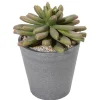 Zimmerpflanzen^DecoWoerner Künstliche Sukkulente 20 Cm grün