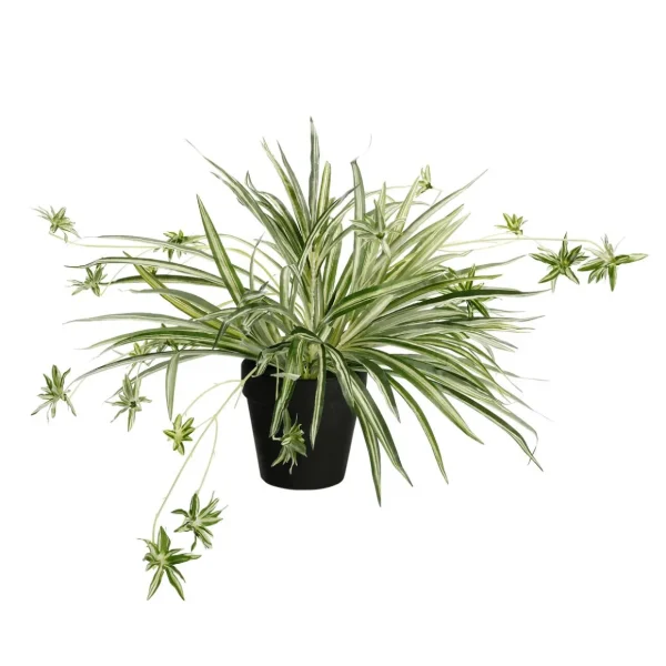 Zimmerpflanzen^DecoWoerner Künstliche Wasserlilie Im Topf 40 Cm grün