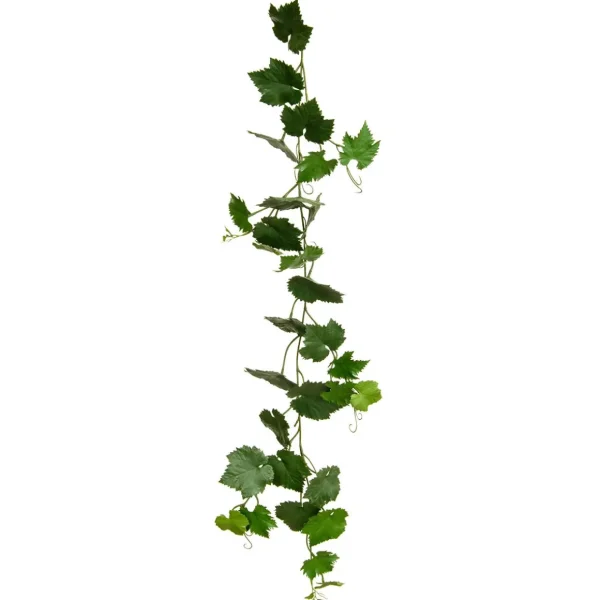 Herbstdeko | Girlanden & Ranken^DecoWoerner Künstliche Weinrebenranke Schwer Entflammbar B1, 118 Cm grün