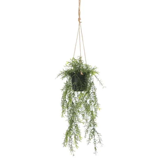 Hängepflanzen^DecoWoerner Künstliche Zierspargel Asparagus Hänge-Ampel 20 X 50 Cm grün