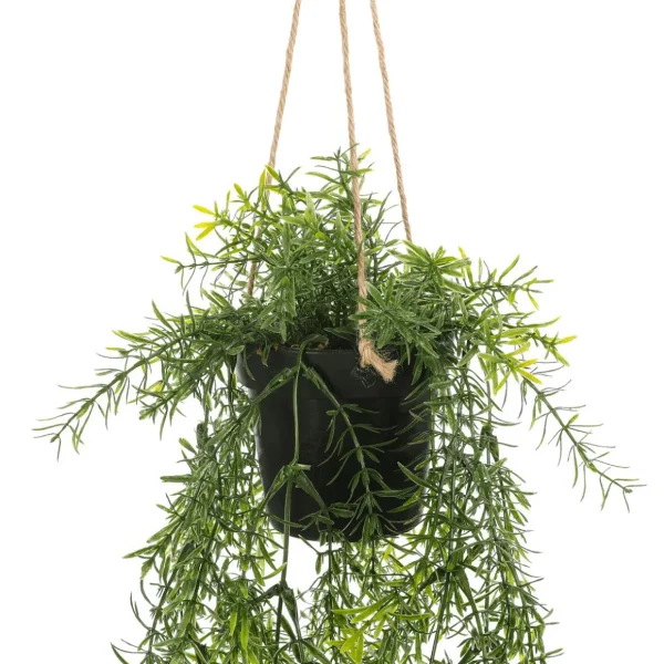 Hängepflanzen^DecoWoerner Künstliche Zierspargel Asparagus Hänge-Ampel 20 X 50 Cm grün