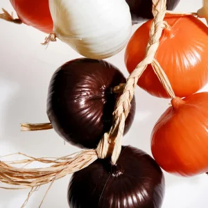 Gemüse & Kräuter^DecoWoerner Künstliche Zwiebel-Ranke 50 Cm mehrfarbig