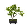 Zimmerpflanzen^DecoWoerner Künstlicher Bonsai Pfennigblatt Eingetopft 34 Cm grün