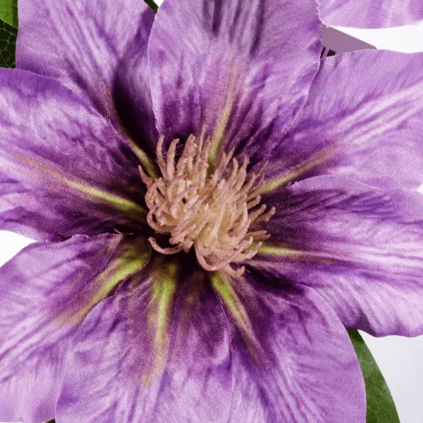 Äste & Zweige^DecoWoerner Künstlicher Clematis-Zweig Lila, 80 Cm violett