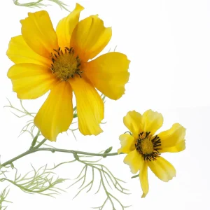 Kunstblumen^DecoWoerner Künstlicher Cosmos Deko-Zweig Gelb 90 Cm orange