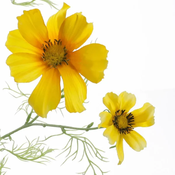 Kunstblumen^DecoWoerner Künstlicher Cosmos Deko-Zweig Gelb 90 Cm orange