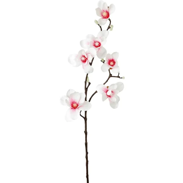 Frühlingsdeko | Äste & Zweige^DecoWoerner Künstlicher Edel-Magnolienzweig, Weiß/rosa, 100 Cm mehrfarbig