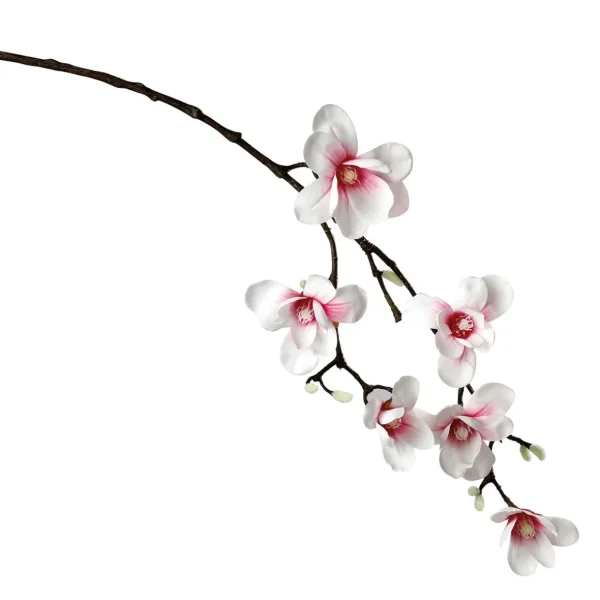 Frühlingsdeko | Äste & Zweige^DecoWoerner Künstlicher Edel-Magnolienzweig, Weiß/rosa, 100 Cm mehrfarbig