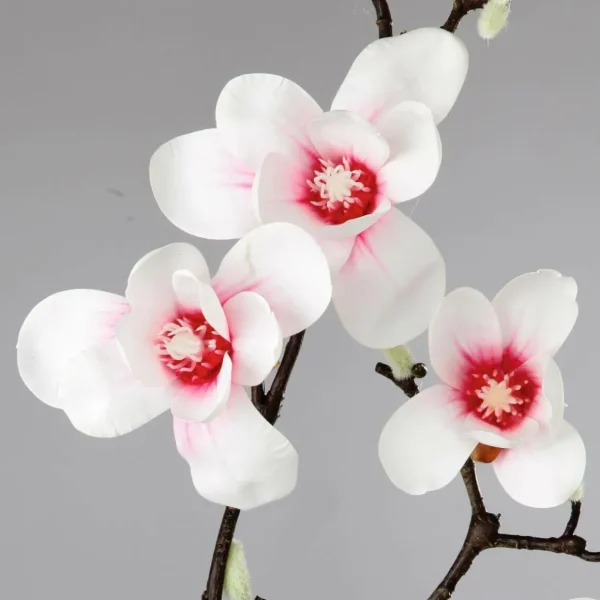 Frühlingsdeko | Äste & Zweige^DecoWoerner Künstlicher Edel-Magnolienzweig, Weiß/rosa, 100 Cm mehrfarbig