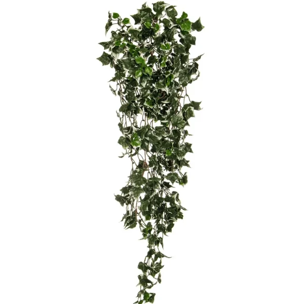 Grünpflanzen | Hängepflanzen^DecoWoerner Künstlicher Efeuhänger B1, -weiß 85 Cm grün