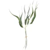 Äste & Zweige^DecoWoerner Künstlicher Eucalyptus, 60 Cm grün