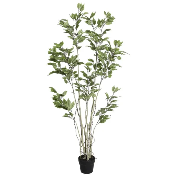 Grünpflanzen | Zimmerpflanzen^DecoWoerner Künstlicher Ficusbaum Im Topf grün