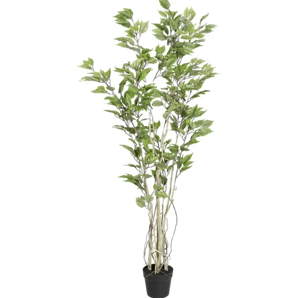 Grünpflanzen | Zimmerpflanzen^DecoWoerner Künstlicher Ficusbaum Im Topf grün