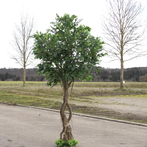 Sommerdeko | Frühlingsdeko^DecoWoerner Künstlicher Ficusbaum Mit Standplatte 245 Cm grün